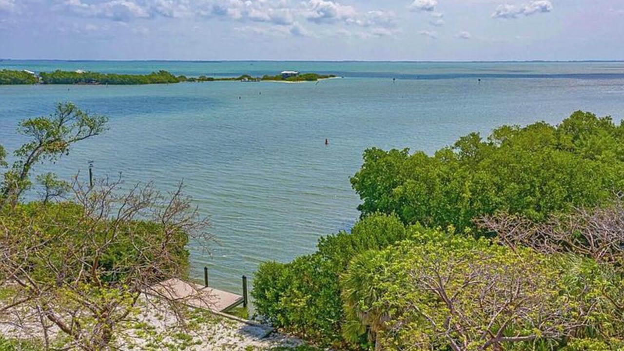 Photo of Others in Safety Harbor Club