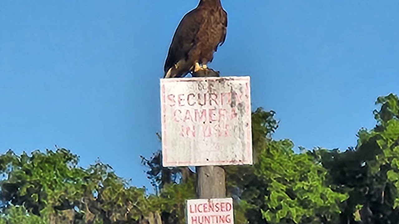 Photo of Others in River Ranch