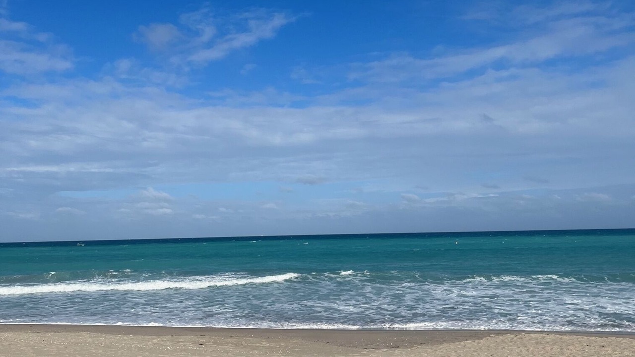 Photo of Others in Singer Island