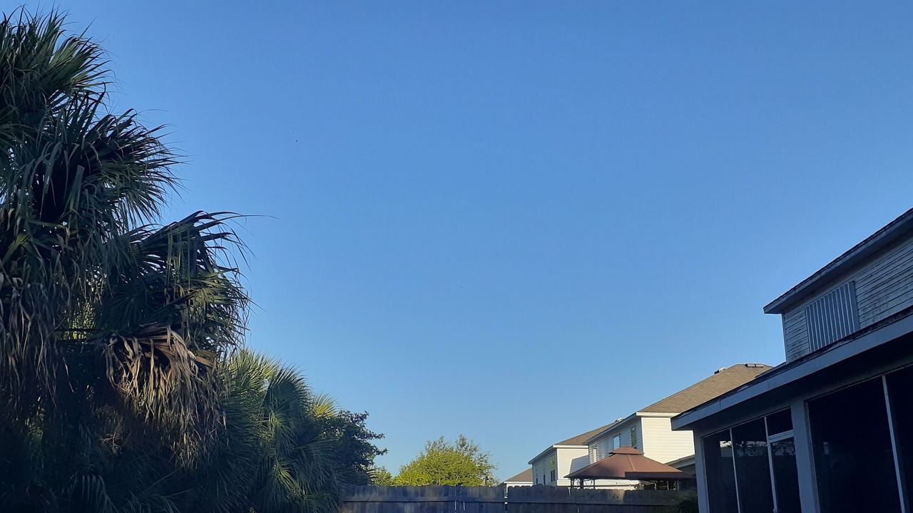 Photo of Outdoor in Tropic