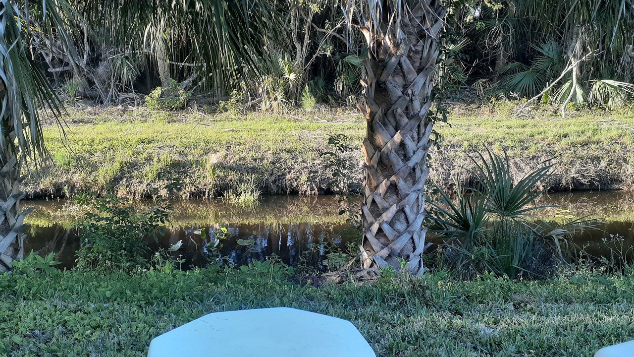 Photo of Outdoor in Tropic