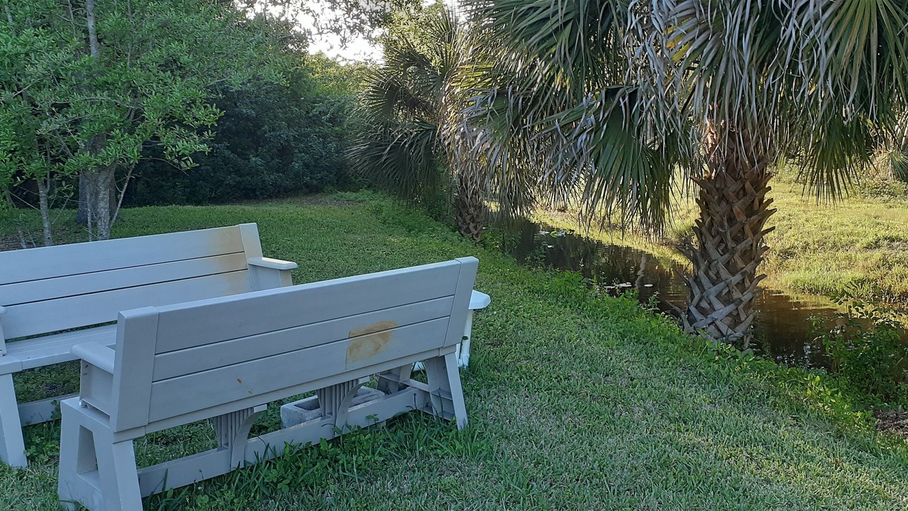 Photo of Outdoor in Tropic