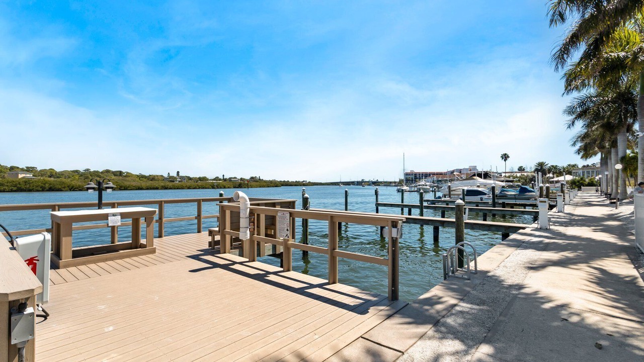 Photo of Outdoor in Indian Shores