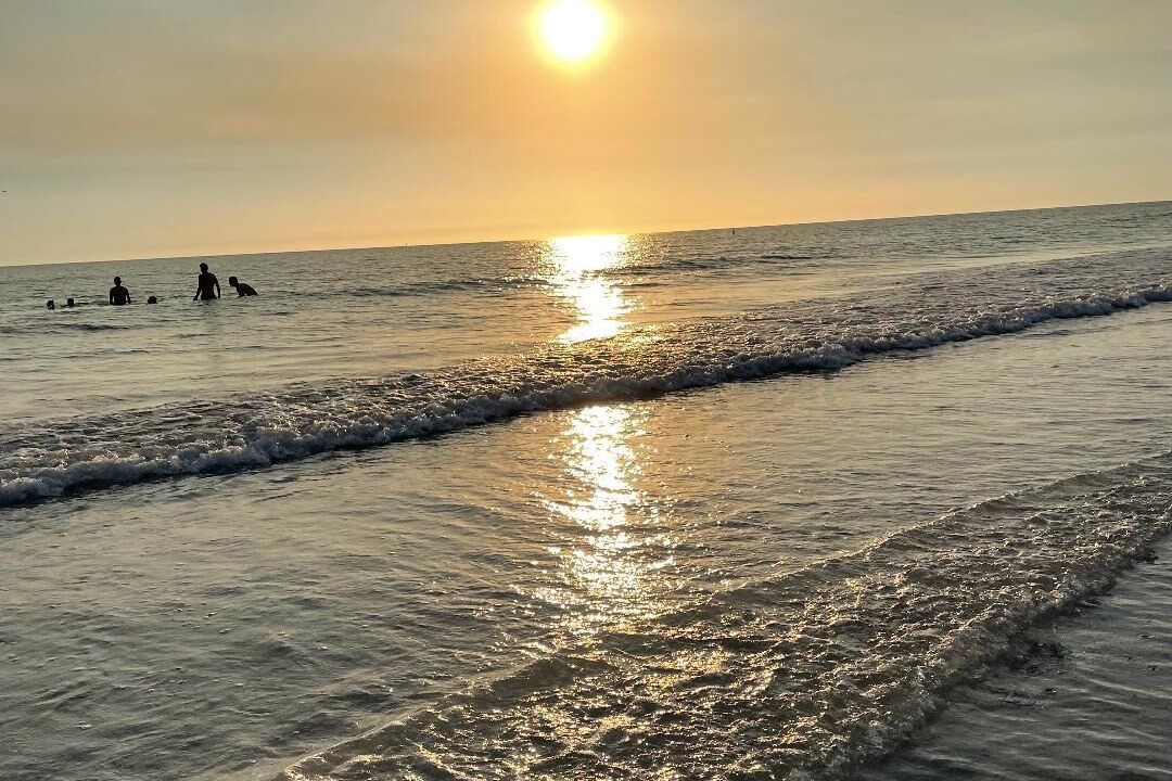 Photo of Others in Sarasota