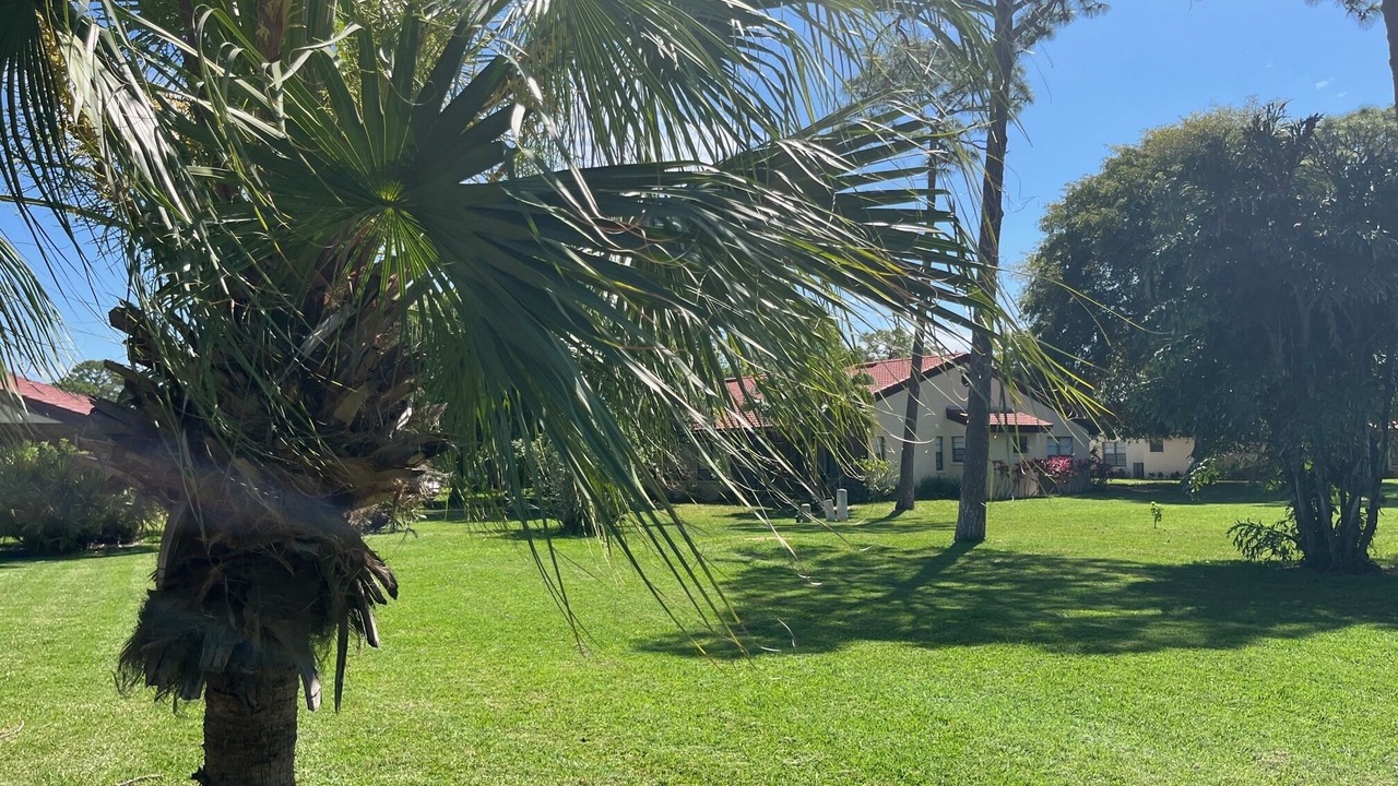 Photo of Others in Sarasota