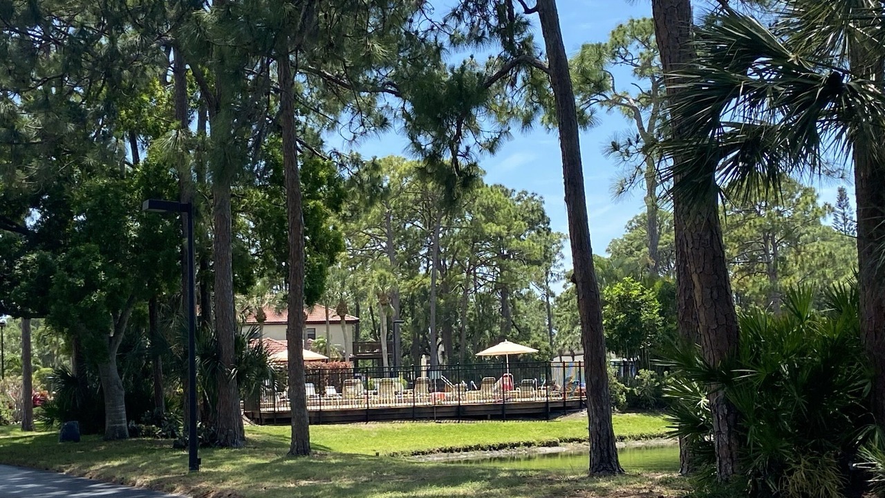 Photo of Outdoor in Sarasota