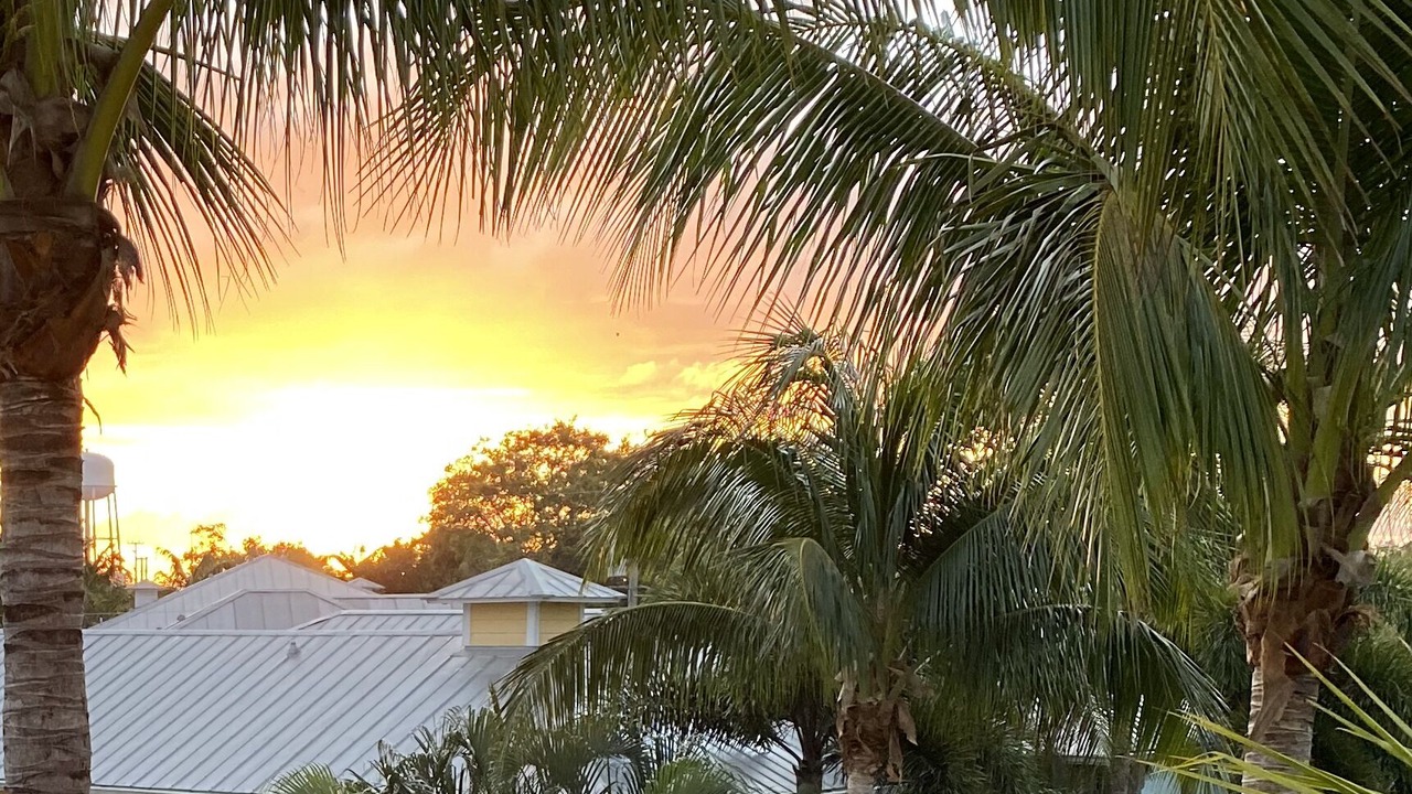 Photo of Others in Stuart