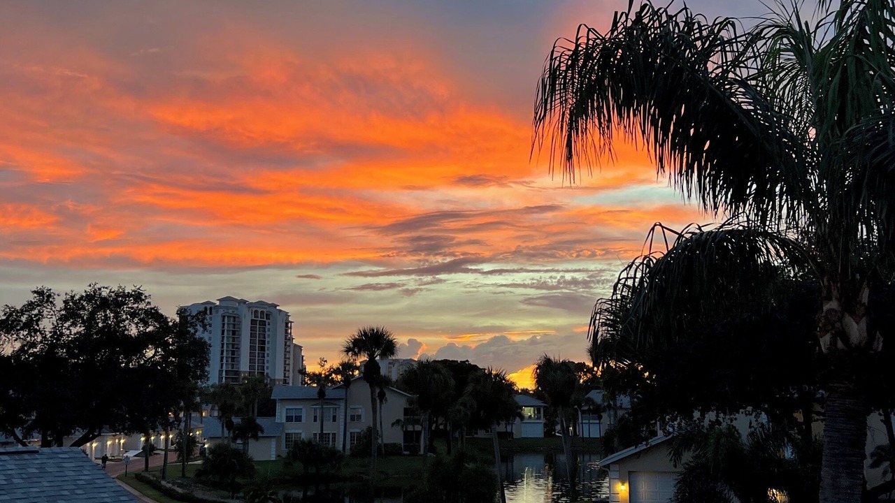 Photo of Others in North Naples