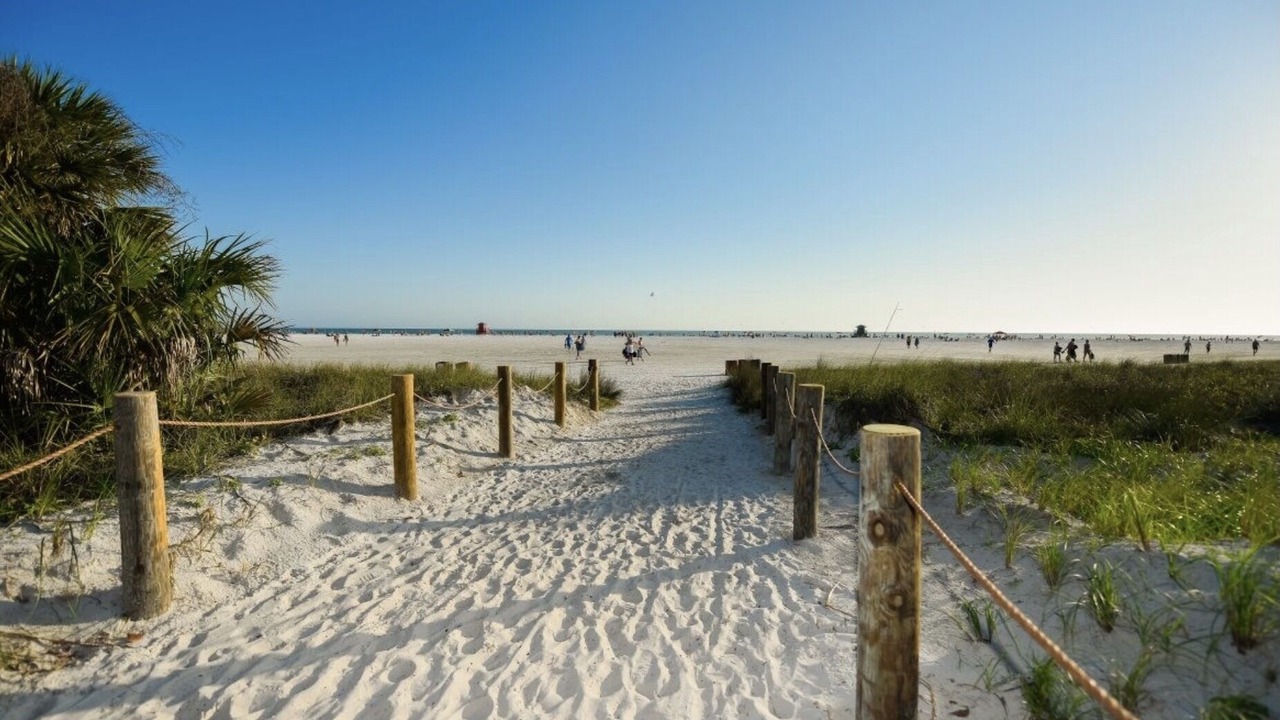 Photo of Others in Siesta Key