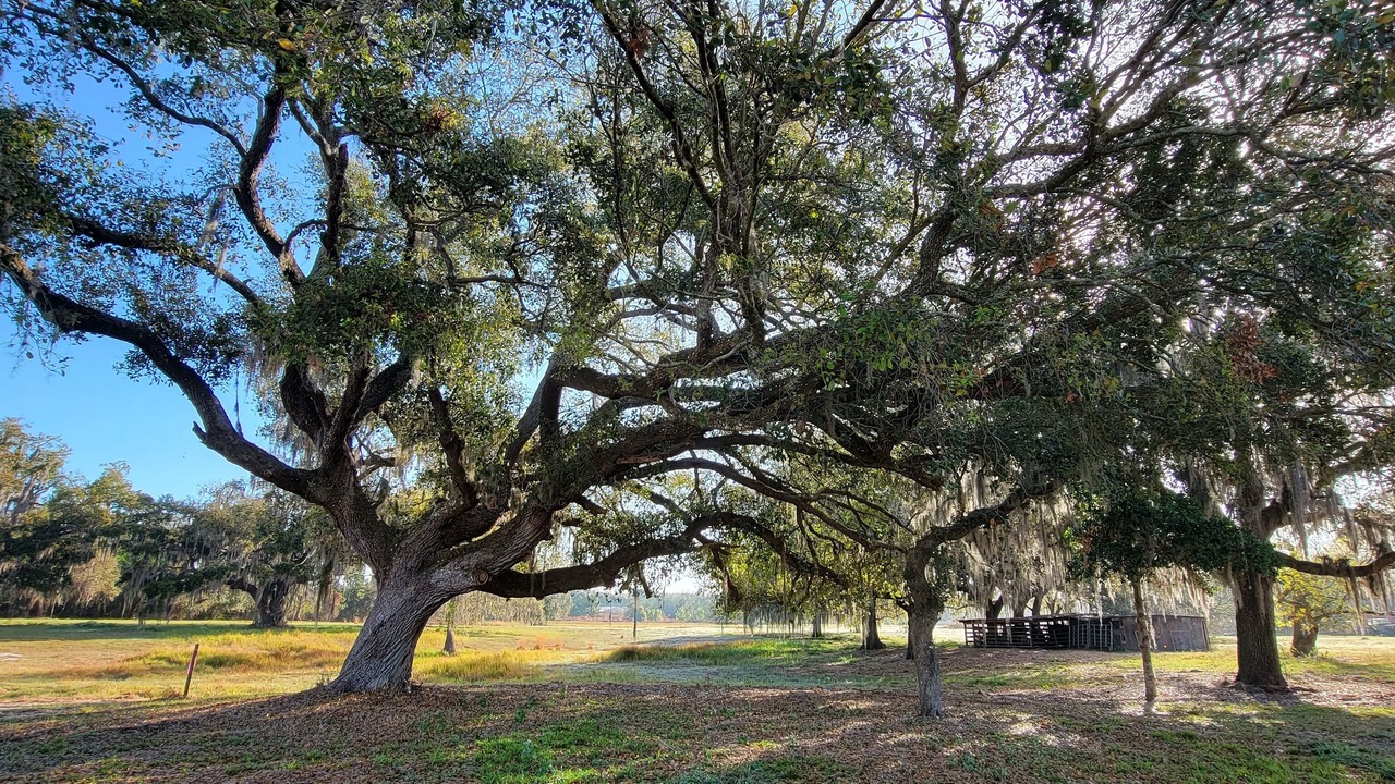 Photo of Outdoor in Sebring
