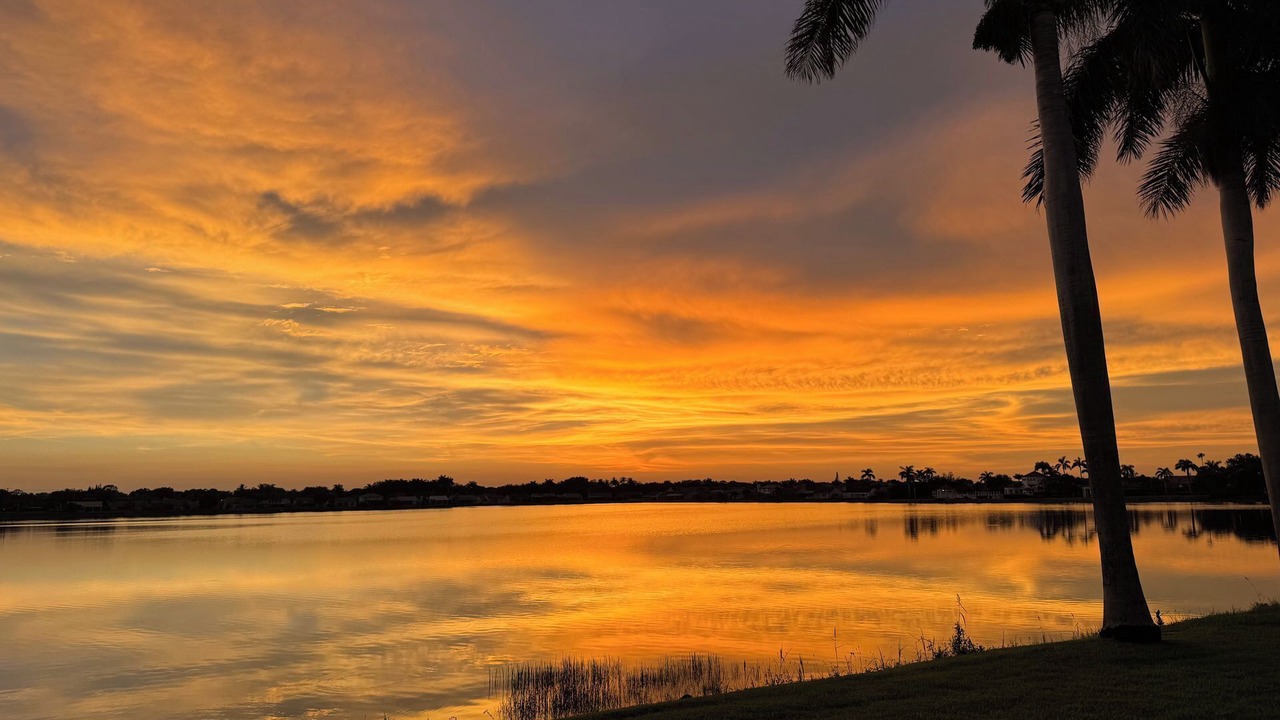 Photo of Others in North Naples