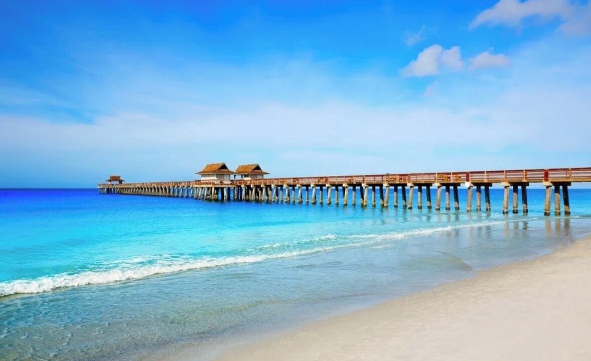 Photo of Others in North Naples