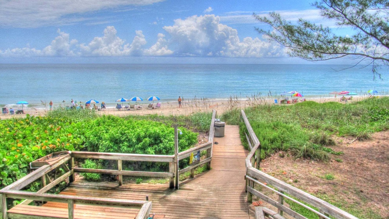Photo of Others in Hutchinson Island South