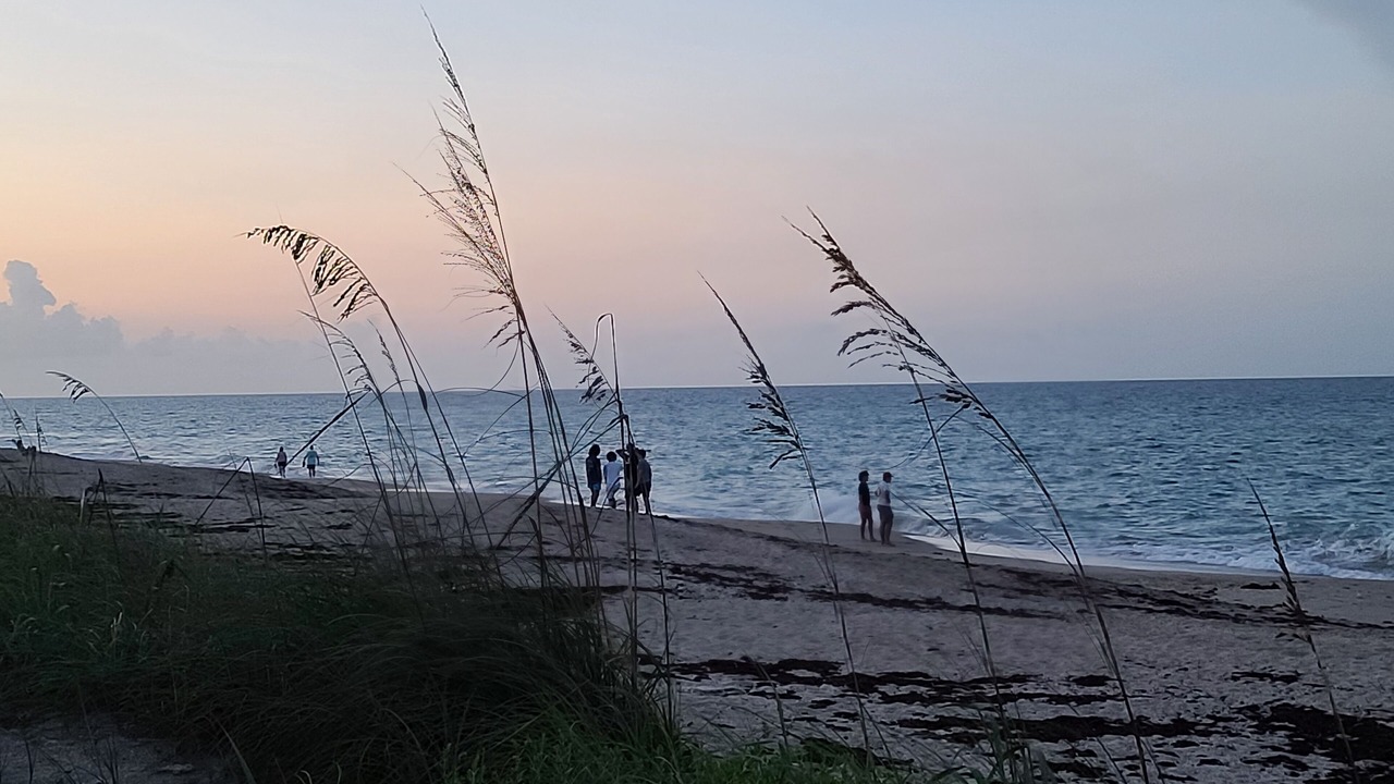 Photo of Others in Beach Club Colony