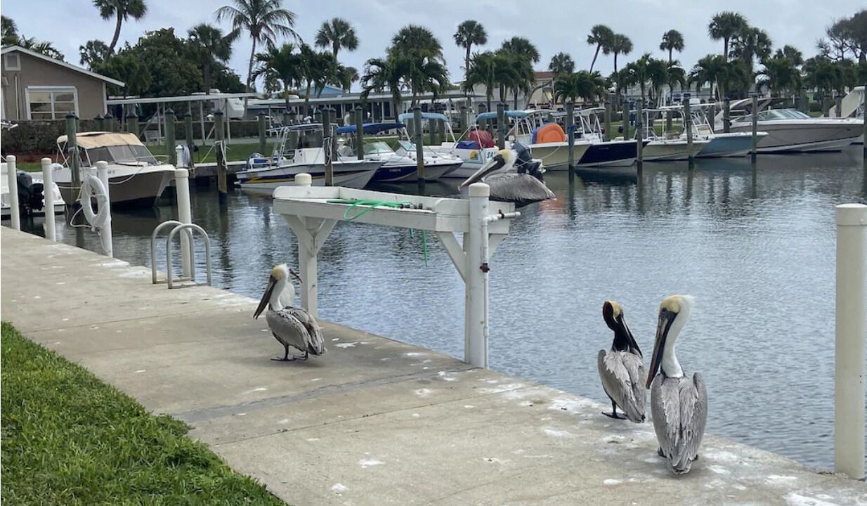 Photo of Outdoor in Hutchinson Island South