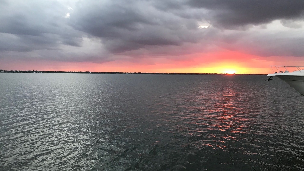 Photo of Others in Hutchinson Island South