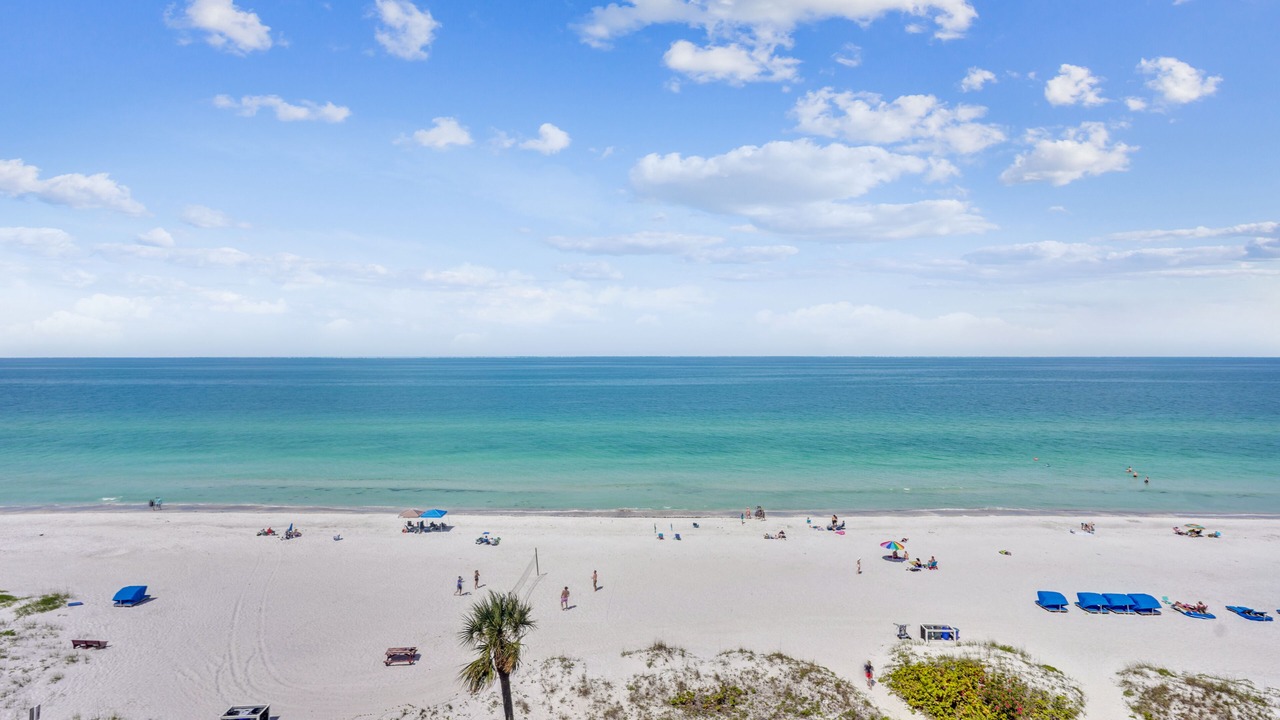 Photo of Others in Indian Shores