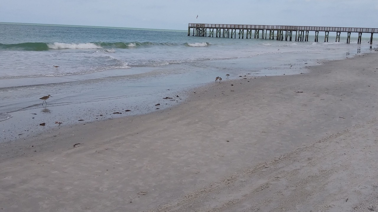 Photo of Others in Redington Beach