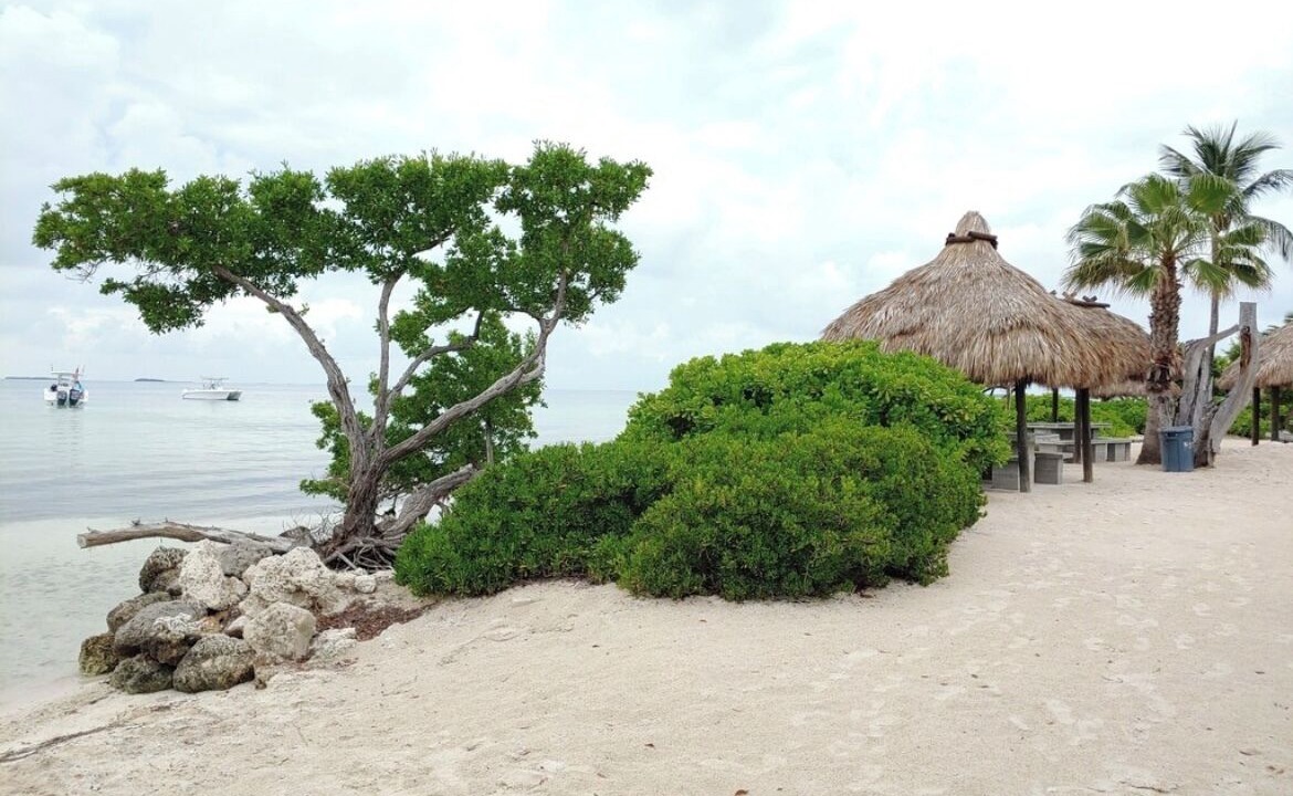 Photo of Others in Islamorada