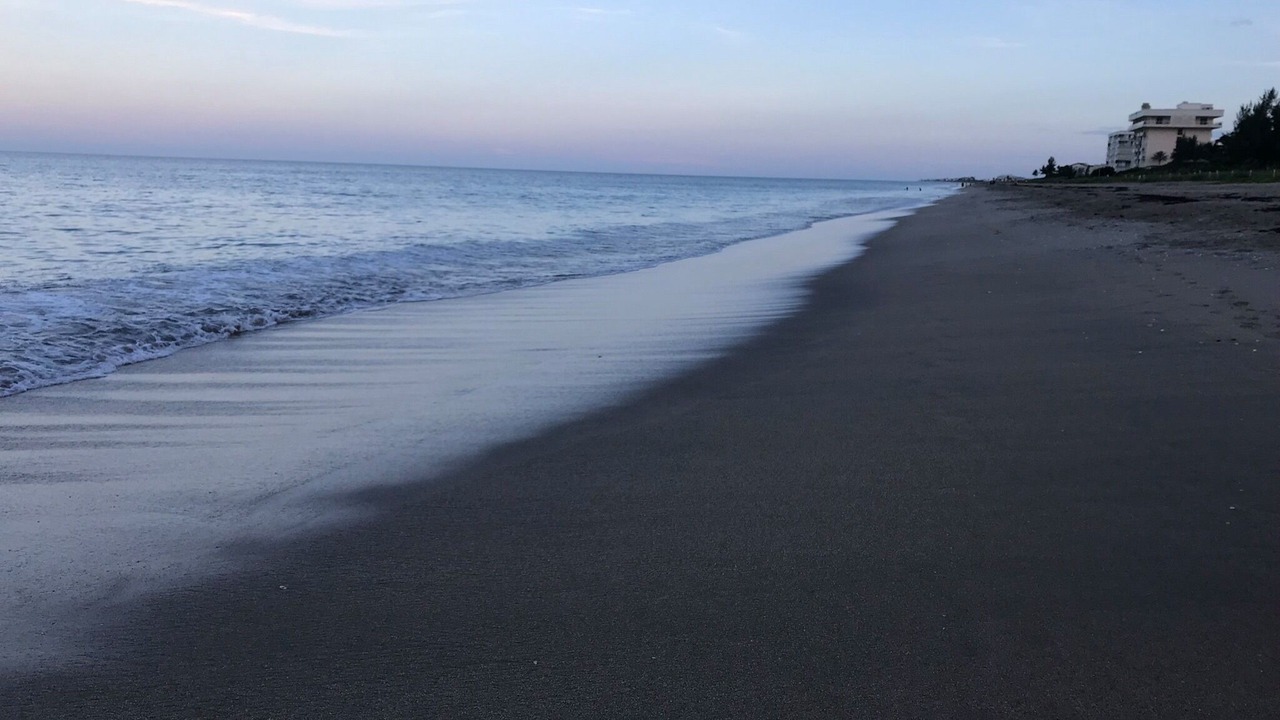Photo of Others in Hutchinson Island South