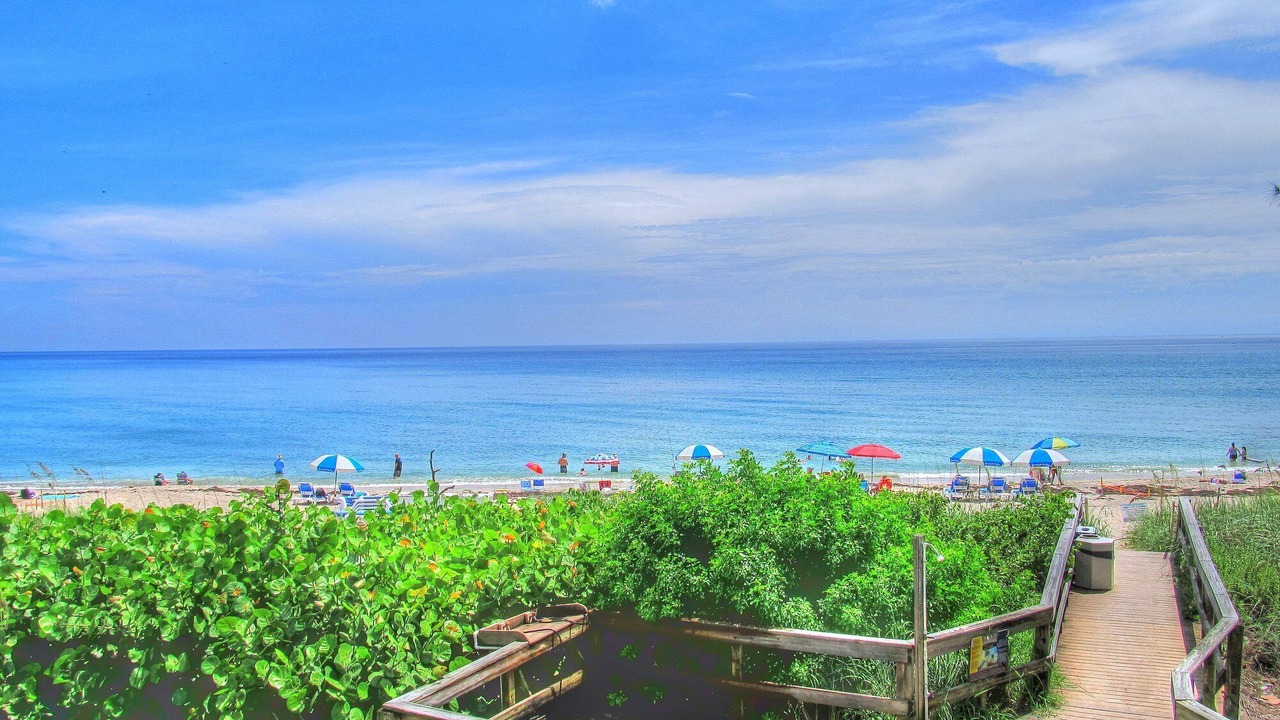 Photo of Others in Hutchinson Island South