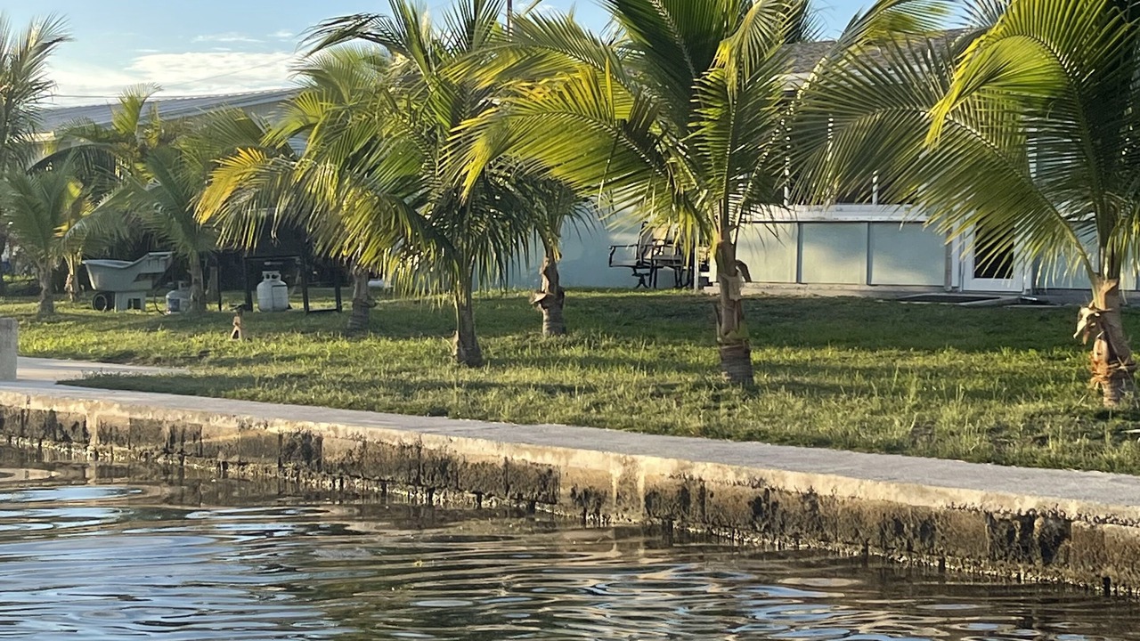 Photo of Others in Big Pine Key