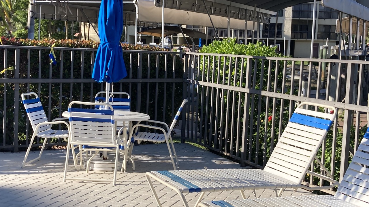Photo of Outdoor in South Island