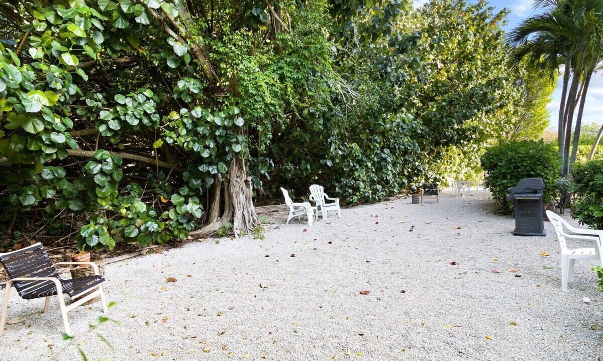 Photo of Others in Shell Harbor