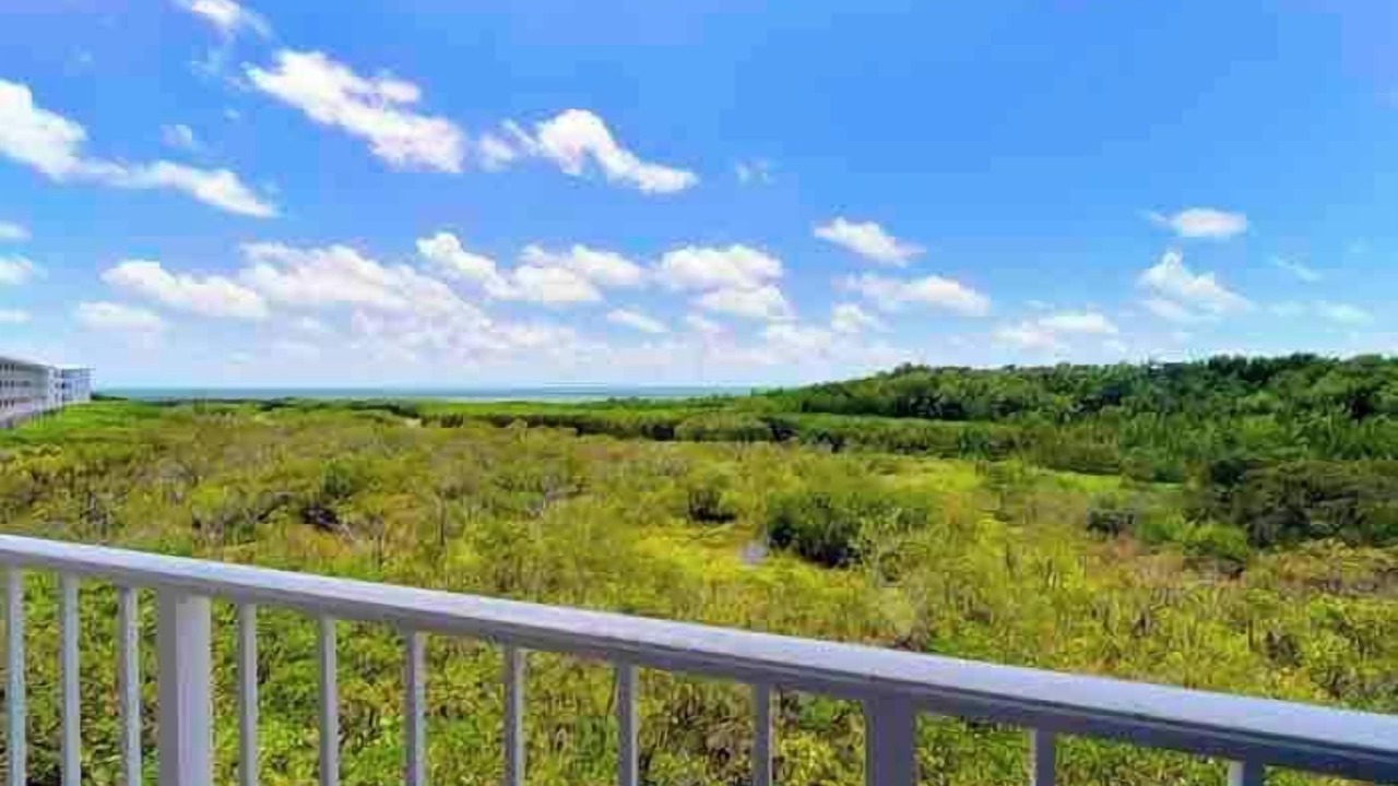 Photo of Outdoor in Tavernier