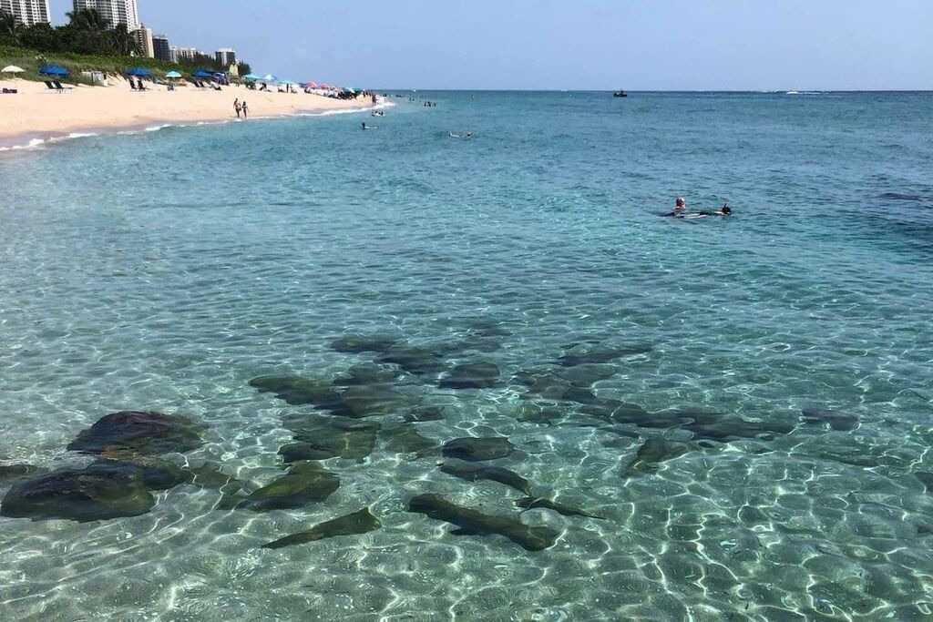Photo of Others in Palm Beach Shores