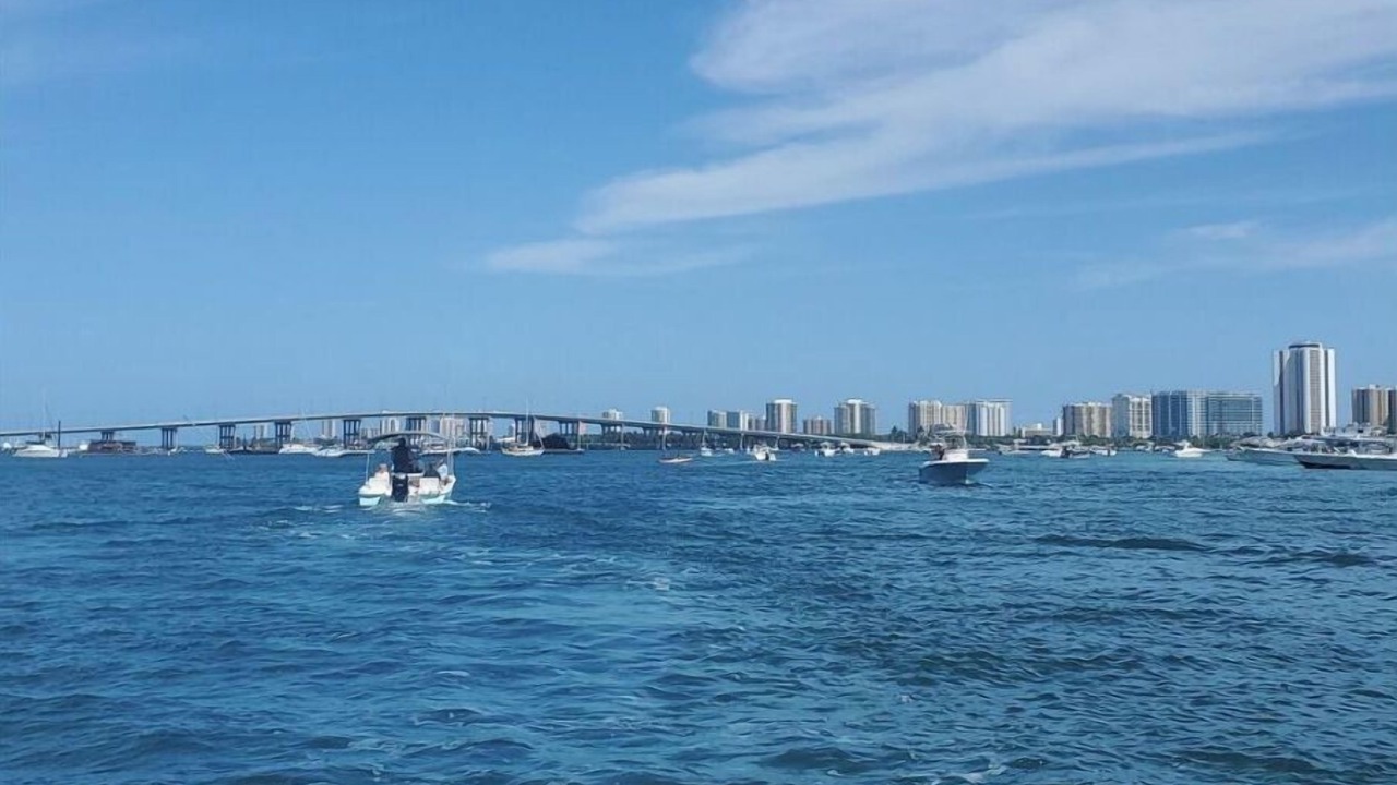 Photo of Others in Palm Beach Shores