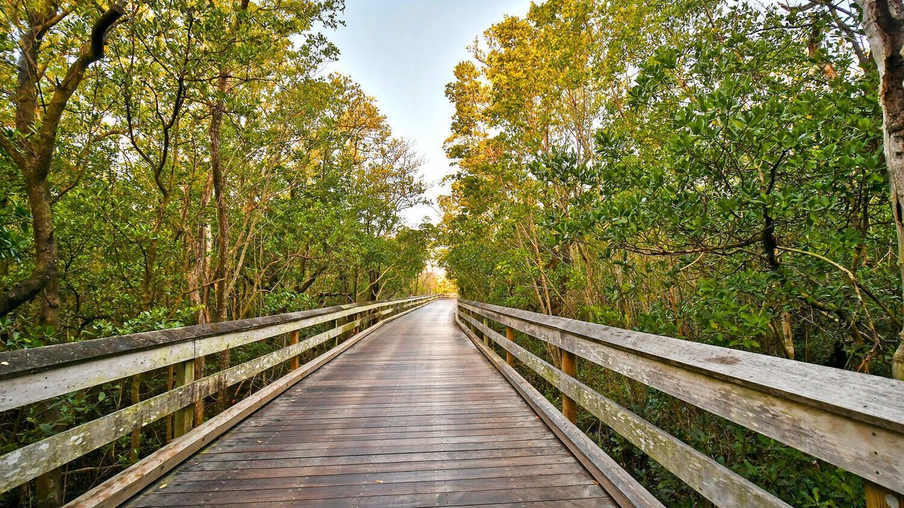 Photo of Outdoor in Pelican Bay