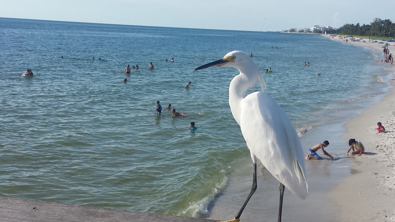 Photo of Others in Village Walk of Bonita Springs