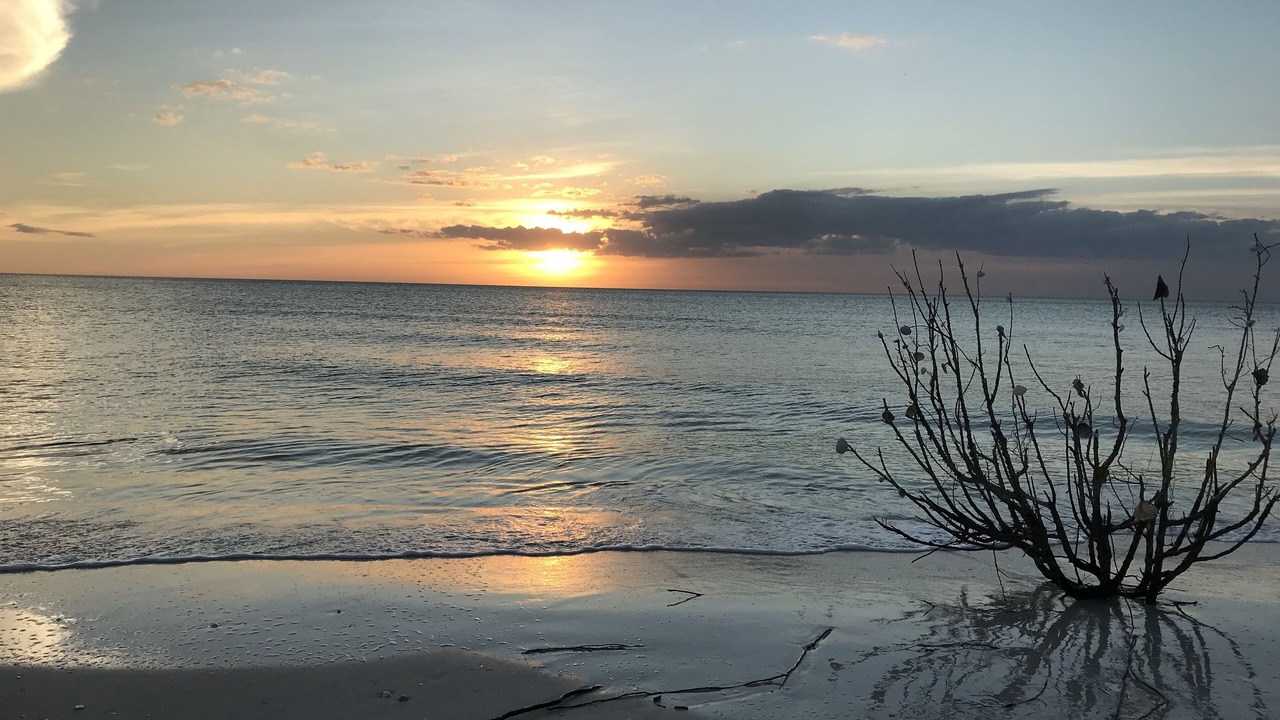 Photo of Others in Marco Island