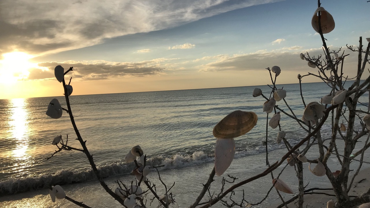 Photo of Others in Marco Island