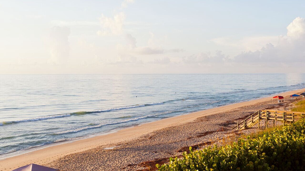 Photo of Others in Hutchinson Island South