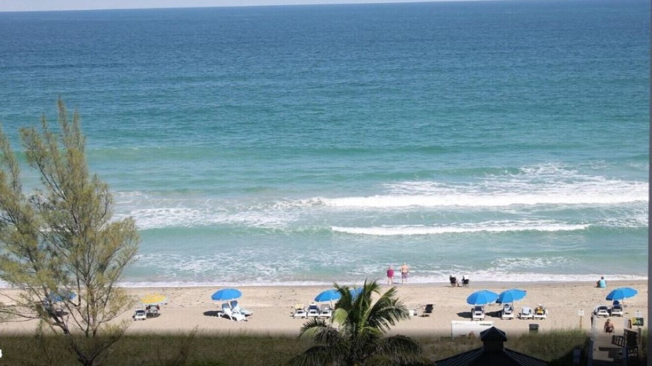 Photo of Others in Hutchinson Island South