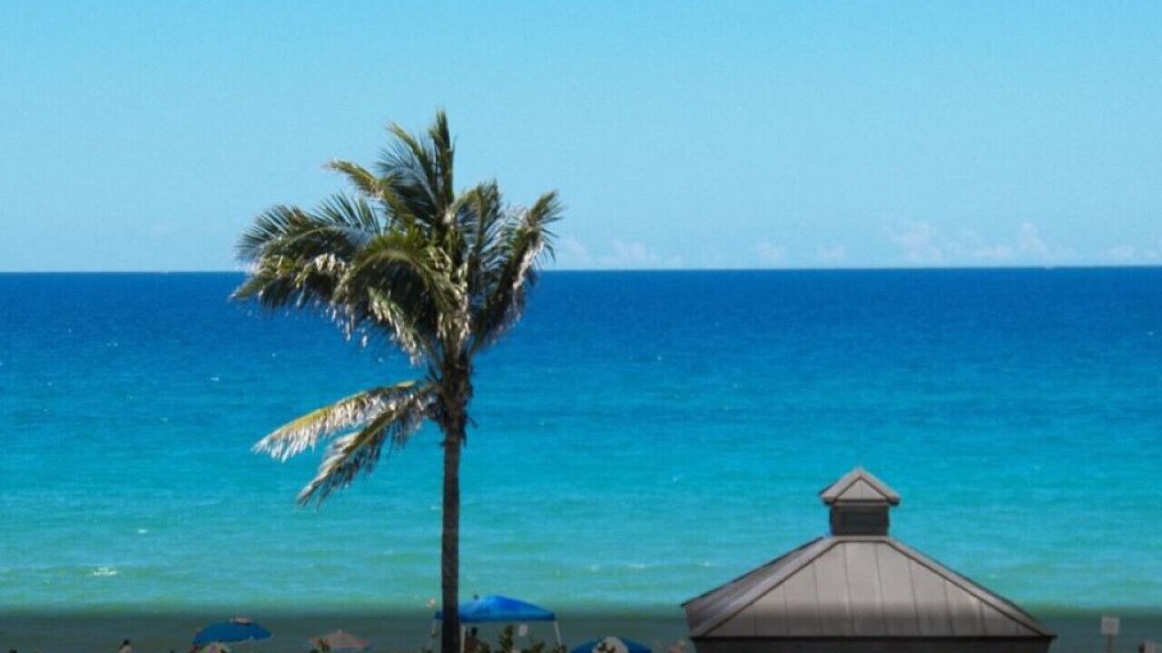 Photo of Others in Hutchinson Island South