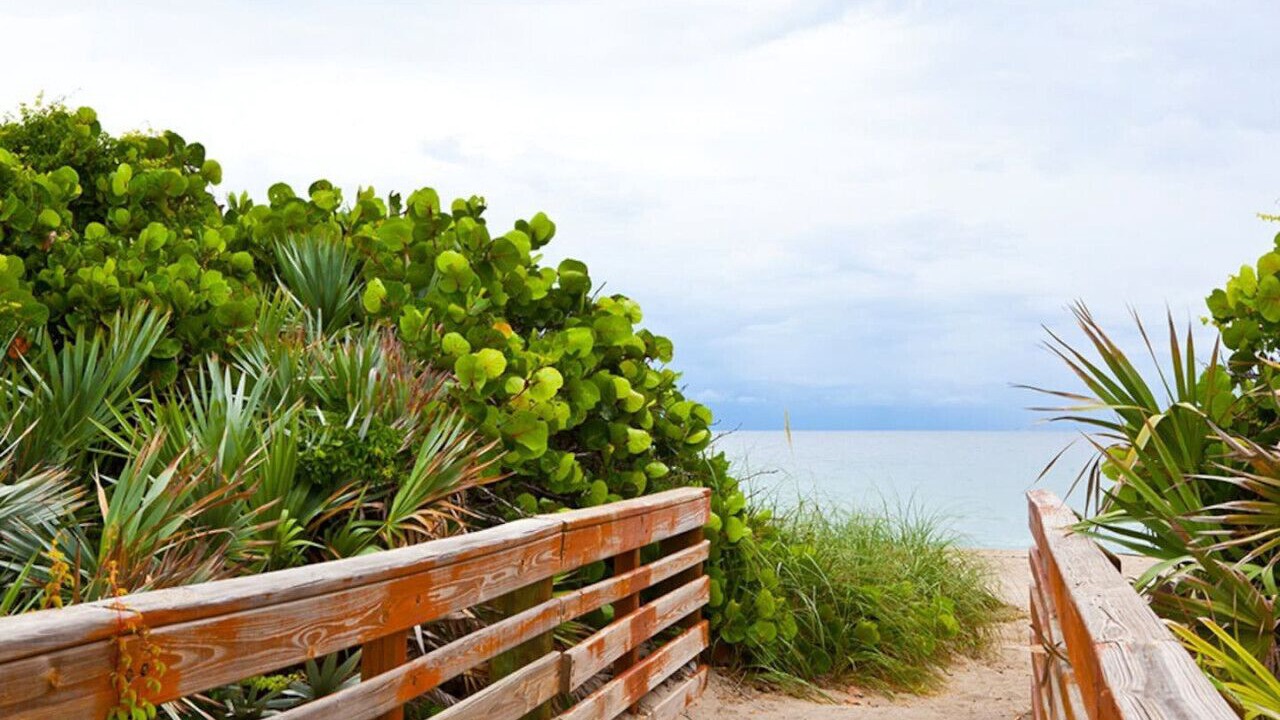 Photo of Outdoor in Hutchinson Island South