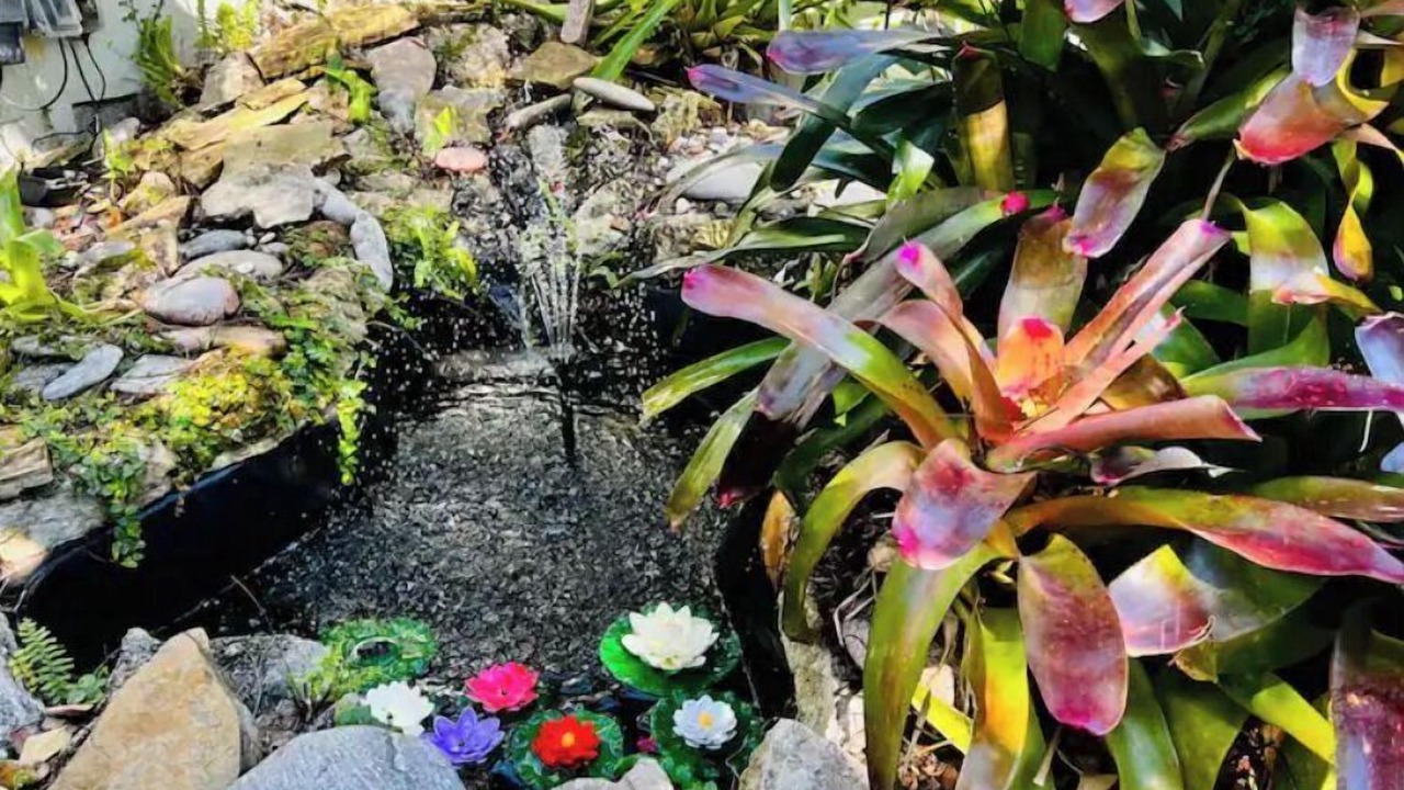 Photo of Outdoor in Mango Groves
