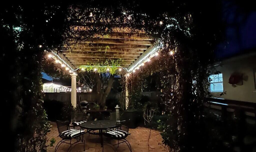 Photo of Outdoor in Mango Groves