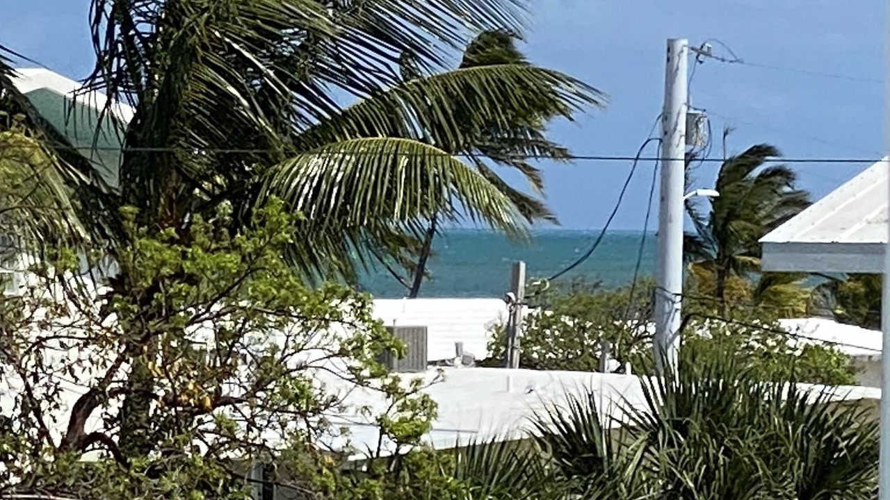 Photo of Others in Tavernier
