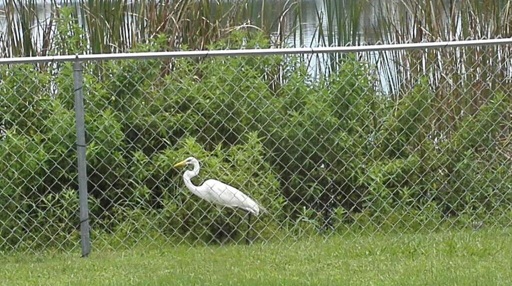 Photo of Others in Crystal Lake