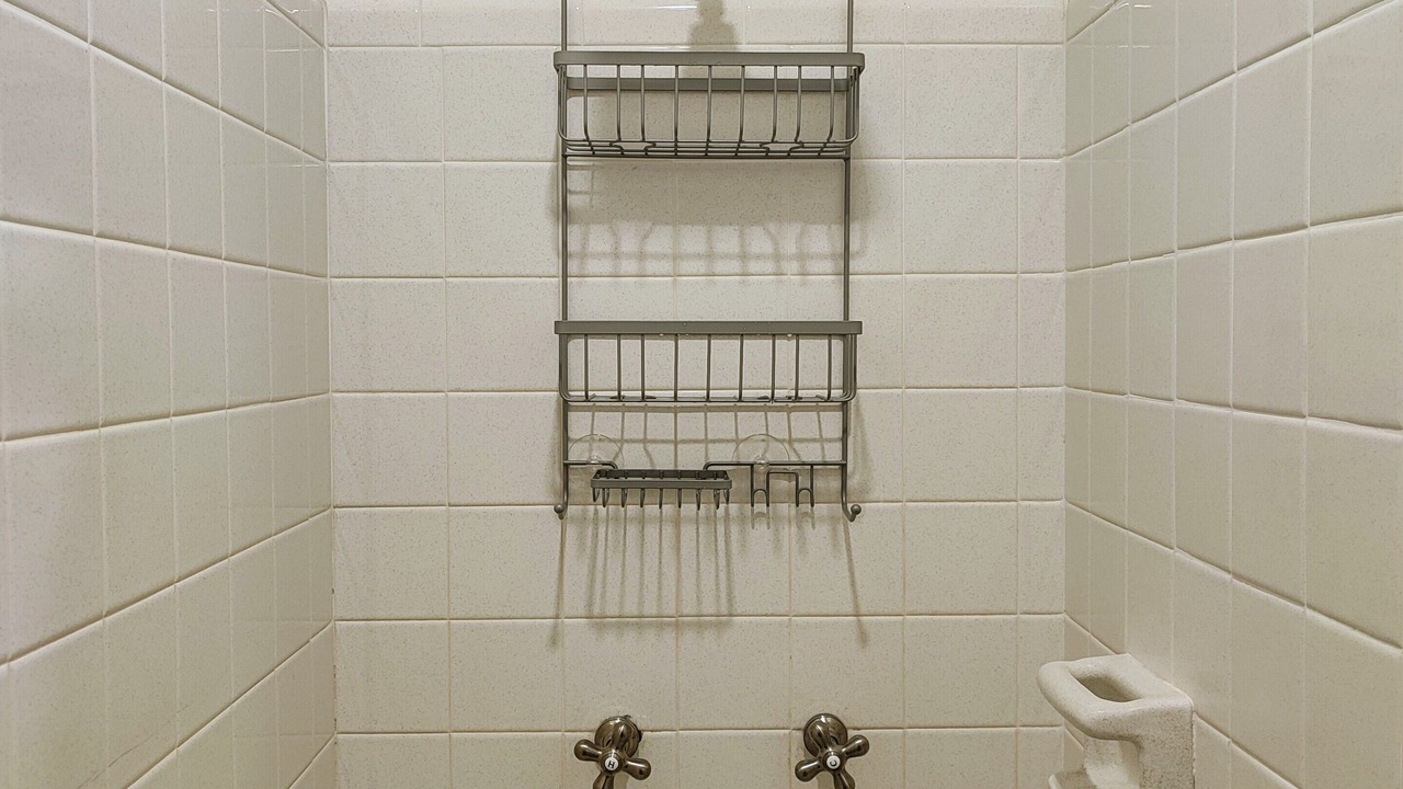 Photo of Bathroom in Sarasota