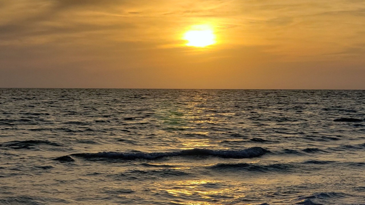 Photo of Others in South Gulf Cove