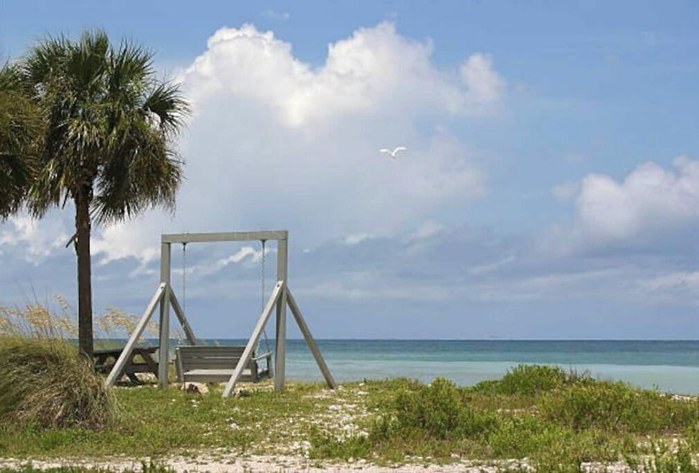 Photo of Others in Palm Harbor