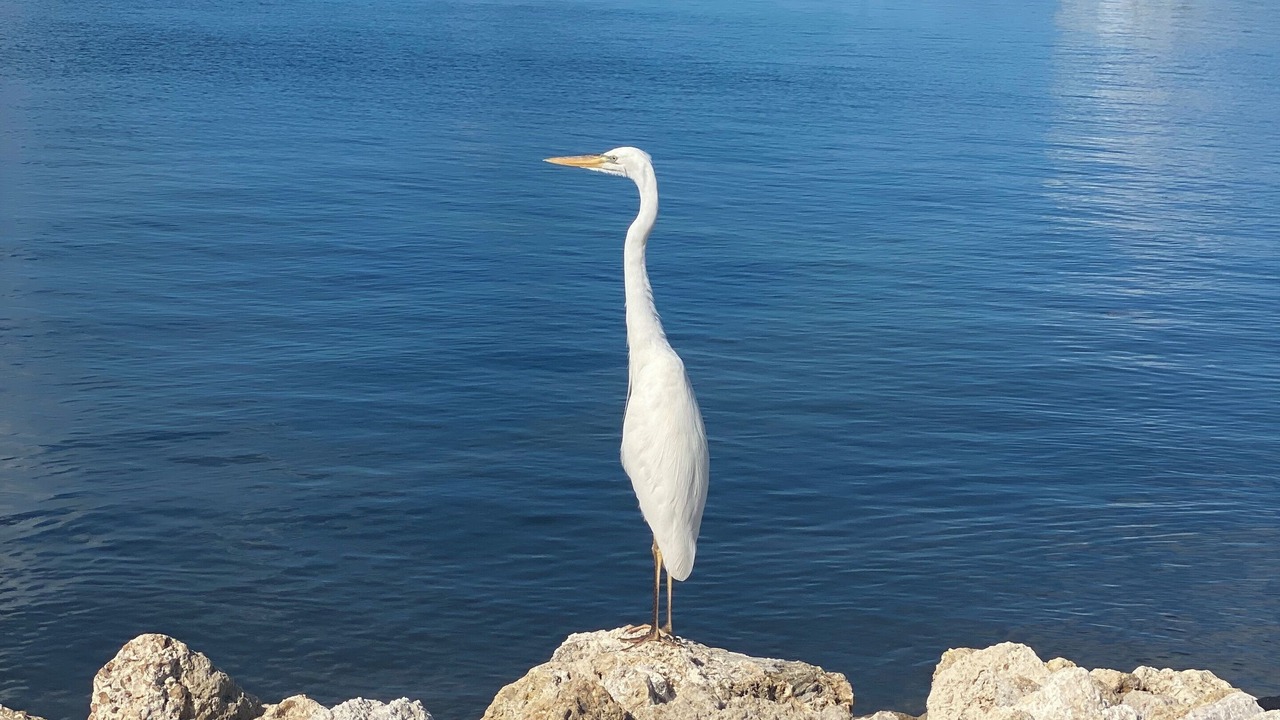 Photo of Others in Blue Waters