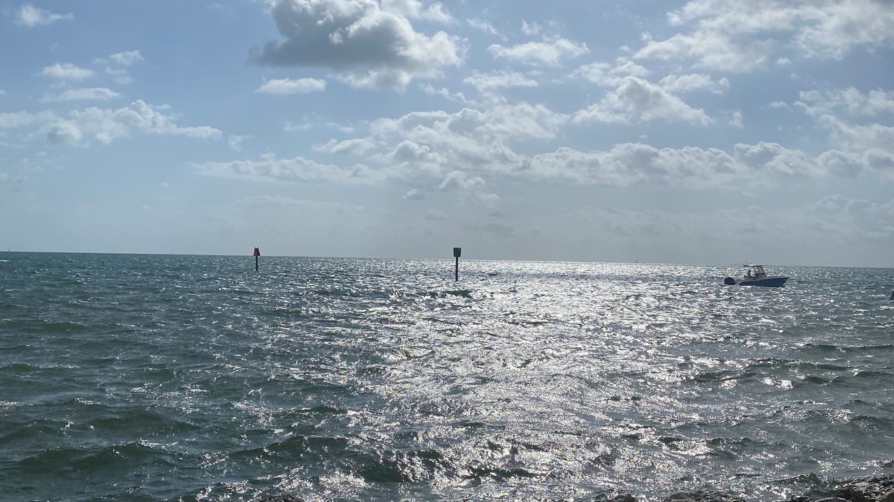Photo of Others in Blue Waters