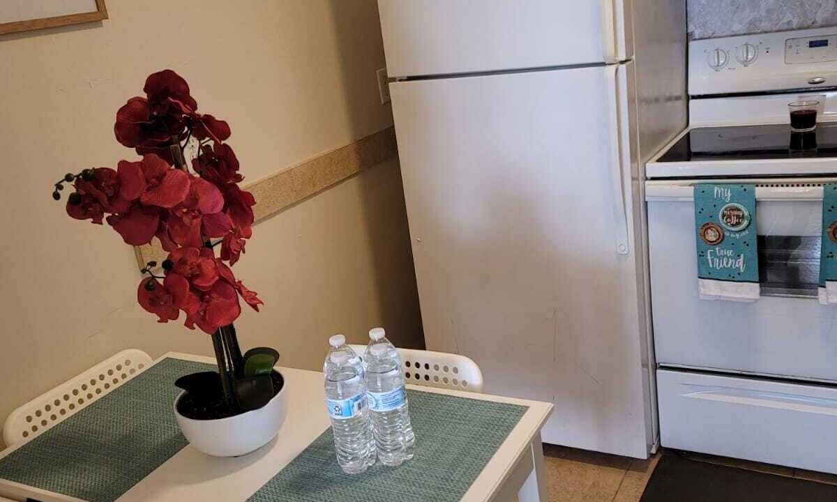 Photo of Kitchen in Flagami