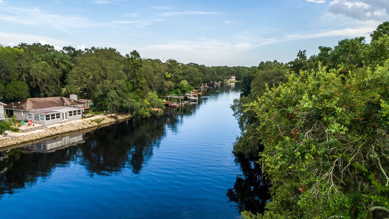 Photo of Others in Old Seminole Heights
